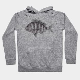 Sheepshead Hoodie